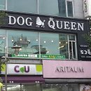 샵도그 이미지