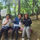 부평구 비타민길 이미지