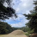 관음1리 | 경북 경주 남산 인기코스 삼릉~금오봉~용장골(문화유적탐방) 등산 후기 주차 화장실 버스 정보