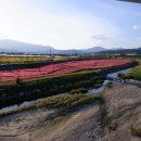 샤론통상 이미지