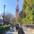 광장24호 이미지