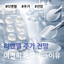 <b>티앤엘</b> 주가 전망 여전히 매력적이라 생각하는 이유