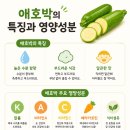 내몸애호 | 애호박효능 총정리｜건강식으로 꾸준히 먹어본 솔직 후기