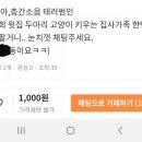 요놈마켓 이미지