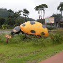 함평 엑스포공원(나비축제장) 이미지
