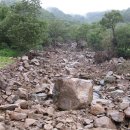 작은복골 이미지