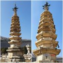 두루봉농원2 | 평창관광택시 여행/오대산 월정사와 전나무숲길