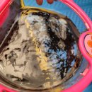 가재돌공원 | 양산 무지개폭포 캠프닉 후기｜취사 가능 계곡 꿀팁 총정리