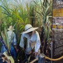 실상농장 이미지