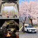 그리고 캠핑장 | 벤츠 GLC 차박 첫 도전, 여자 혼자 캠핑 솔캠 후기 (+다잡 꼬리텐트, 해자연캠핑장 벚꽃 캠핑)