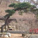 유성농장 2 이미지