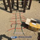 면남초등학교 이미지