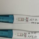 임밍아웃 후기, 내가 엄마가 된다고..?!??