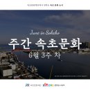 (청중년 대상)수어로 Talk, 마음으로 Talk Talk | 📢 속초문화재단에서 전하는 ❝주간 속초문화(6월 3주 차)❞