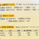 선도수선화 | [전남 4월 축제] 수선화 축제 | 신안 선도 | 봄꽃축제 | 전남 가볼만한곳