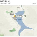 한국버닝문화협회 회화전 참가모집 이미지