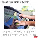 일공공일 이미지