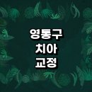 수원 영통구 치아교정 잘하는 전문치과 병원 추천 | 비용 후기 설측교정 돌출입 앞니 투명 무턱 부분...