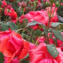 추풍령급수탑공원 화장실 이미지