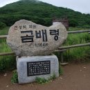 곰배령 꽃길 이미지