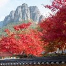 주왕산팬션민박 이미지