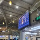 뉴그린 수영장 | 세부여행숙소 막탄 세부샹그릴라 리조트 수영장 조식 맛집 그랩 이용 후기