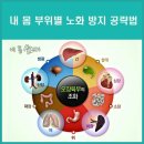 내 몸 부위별 노화를 방지하는 방법 이미지