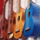 맑은 소리 우쿨렐레 이미지