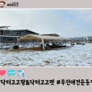 고고펫 이미지