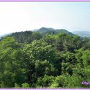 보은 삼년산성 이미지