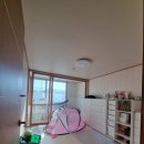 한선파라타운 이미지