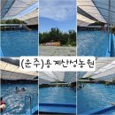 완주행복다래농원 | 계곡 갈 필요 없는 180평 초대형 수영장! 완주 용계산성유원지 평상 펜션 완전 깨끗해서 감탄한 곳