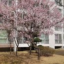 우리봄이네 이미지