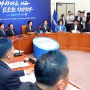 파란의원 국민일보