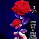 건강과 행복 이미지