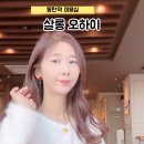 살롱오하이(Salon Ohi)