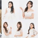 사랑이유통 이미지