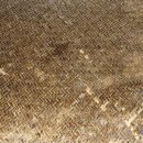 마곡사1 이미지