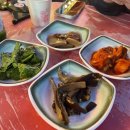 속초맛집 초롱이네포차,또만나식당(내돈내산)
