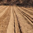 모레골 농장 이미지