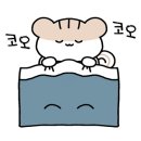 화인폴댄스 이미지
