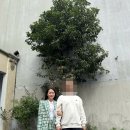 베트남 국제결혼 이미지