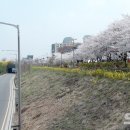 북면황토방온천장 네이버블로그
