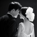 플로리스트 이미지