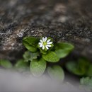 골프장둘레길 이미지