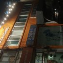 강아지랑 문래동 카페 가볼까? 카페주황 방문 후기!