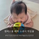 쎄씨 - 남원시 용성로 221 | 5개월 아기장난감 추천! 쎄씨 차임볼 솔직 놀이 후기