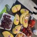 현주목장 이미지