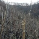 무진장농원 이미지