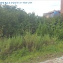 논공읍사무소 이미지